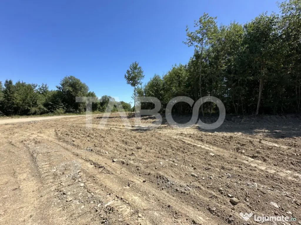 Teren extravilan cu utilitati 1800 mp langa Rau pe Valea Seb 