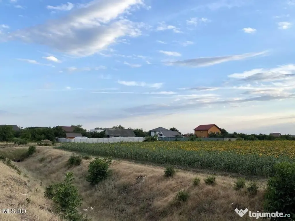 Tamasi, langa padure, 12.824 mp, deschidere 45 ml, teren ...