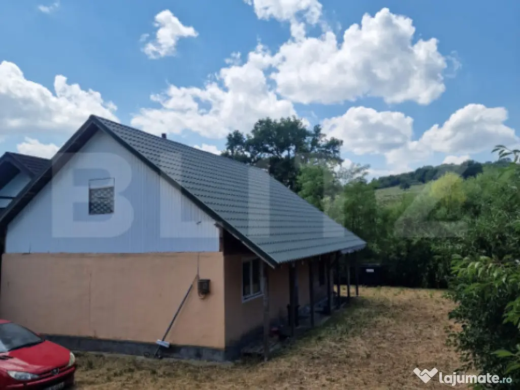 Casa cu 4 camere, 100 mp,si teren 700mp, zona Leoni