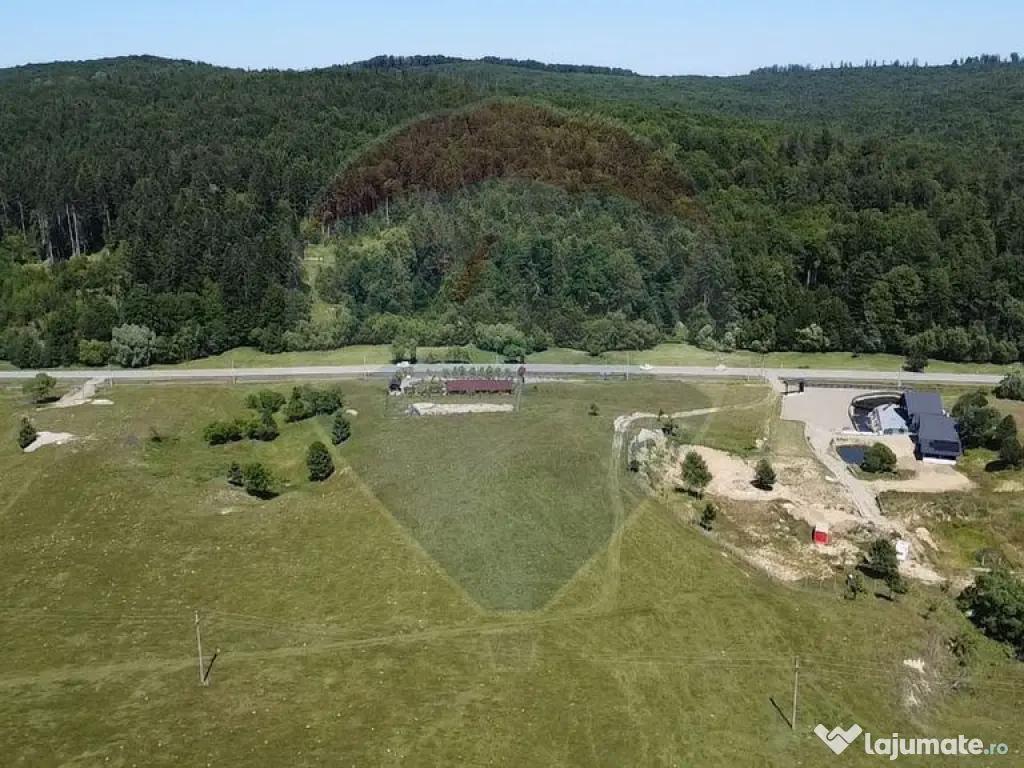Teren 5,561mp Paltinoasa / Strada principala 