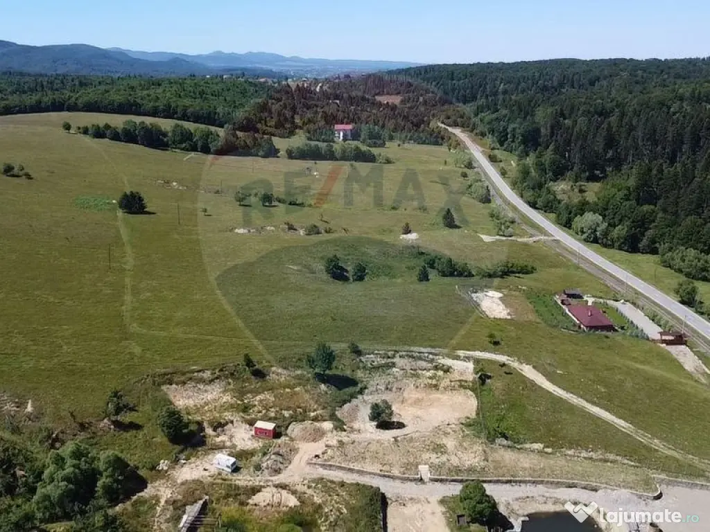 Teren 5,561mp Paltinoasa / Strada principala 