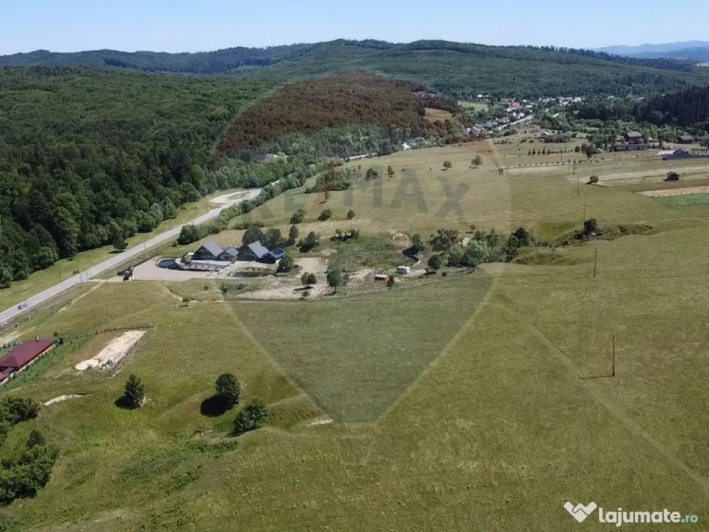 Teren 5,561mp Paltinoasa / Strada principala 