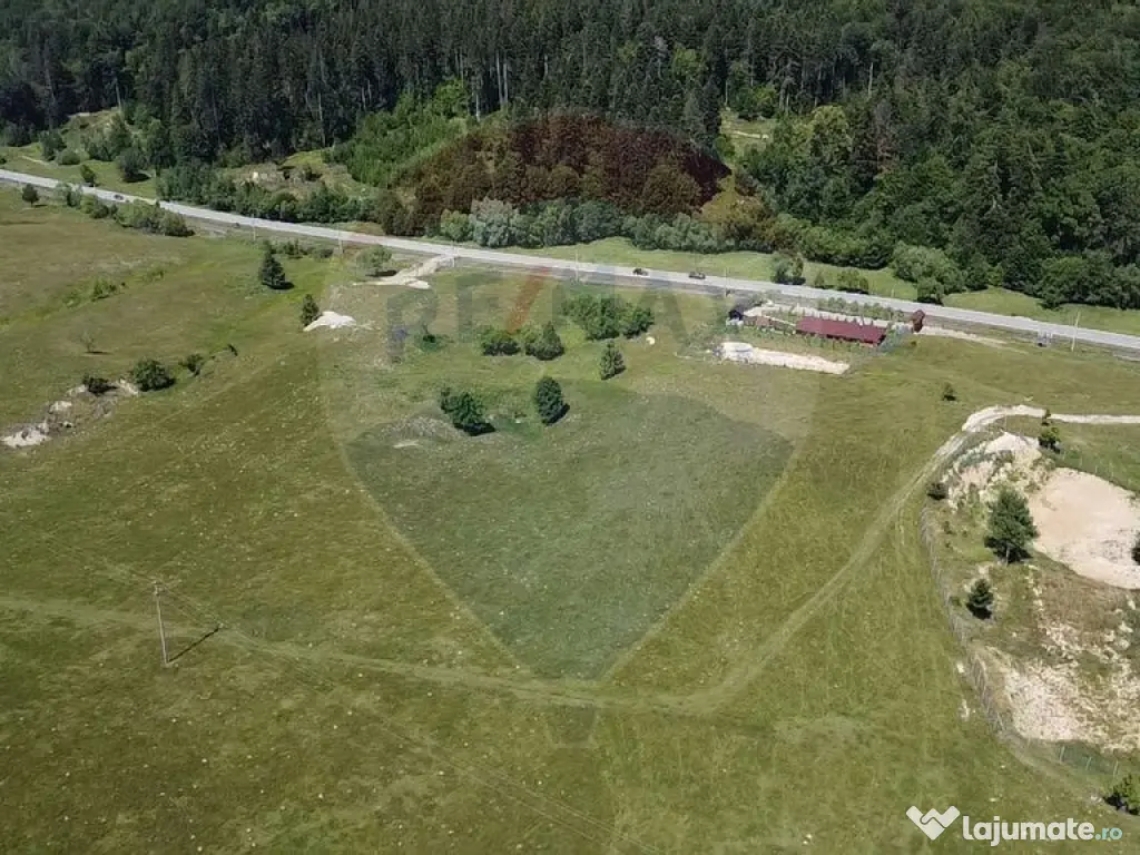 Teren 5,561mp Paltinoasa / Strada principala 