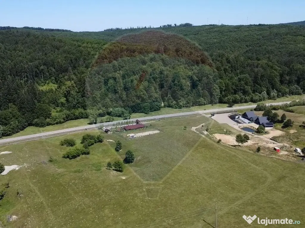 Teren 5,561mp Paltinoasa / Strada principala 
