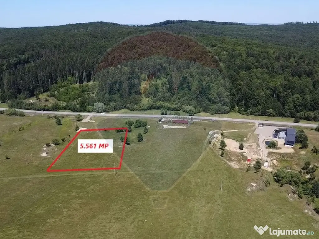 Teren 5,561mp Paltinoasa / Strada principala 