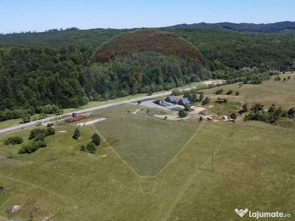 Teren 5,561mp Paltinoasa / Strada principala 