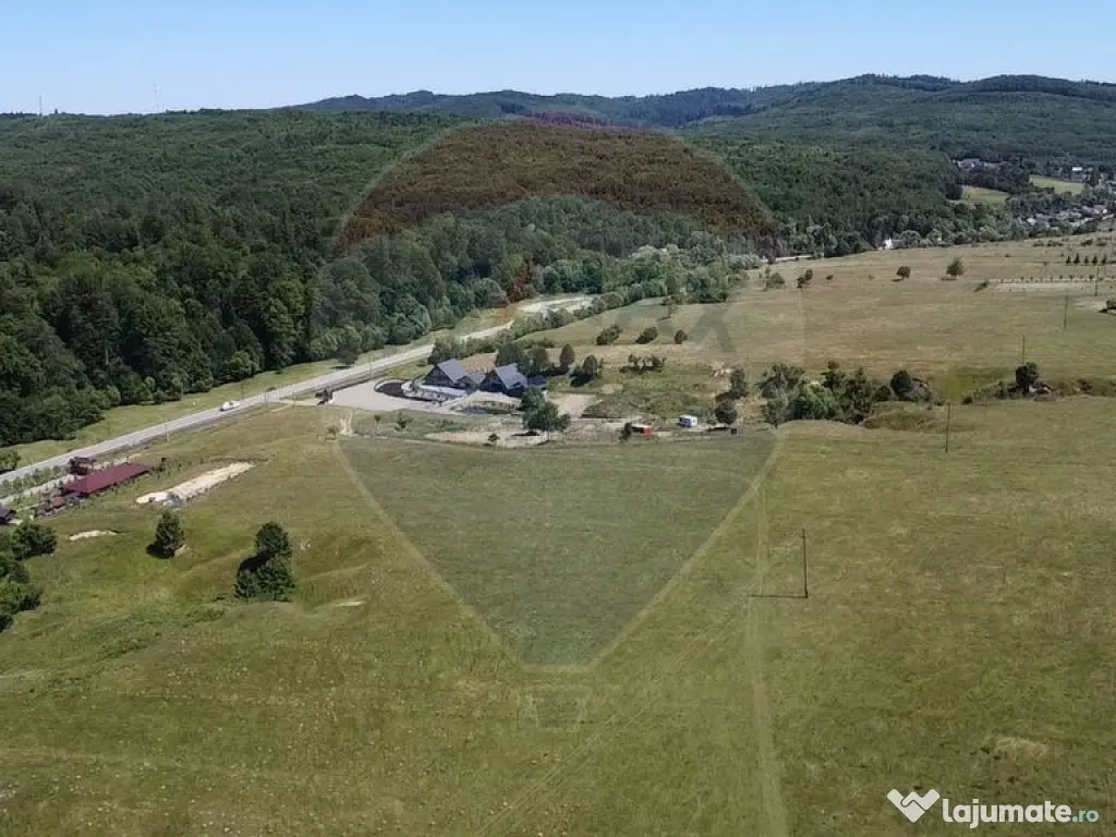 Teren 5,561mp Paltinoasa / Strada principala 