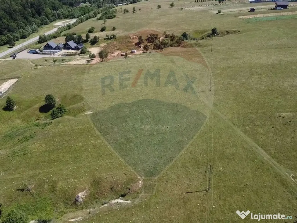 Teren 5,561mp Paltinoasa / Strada principala 