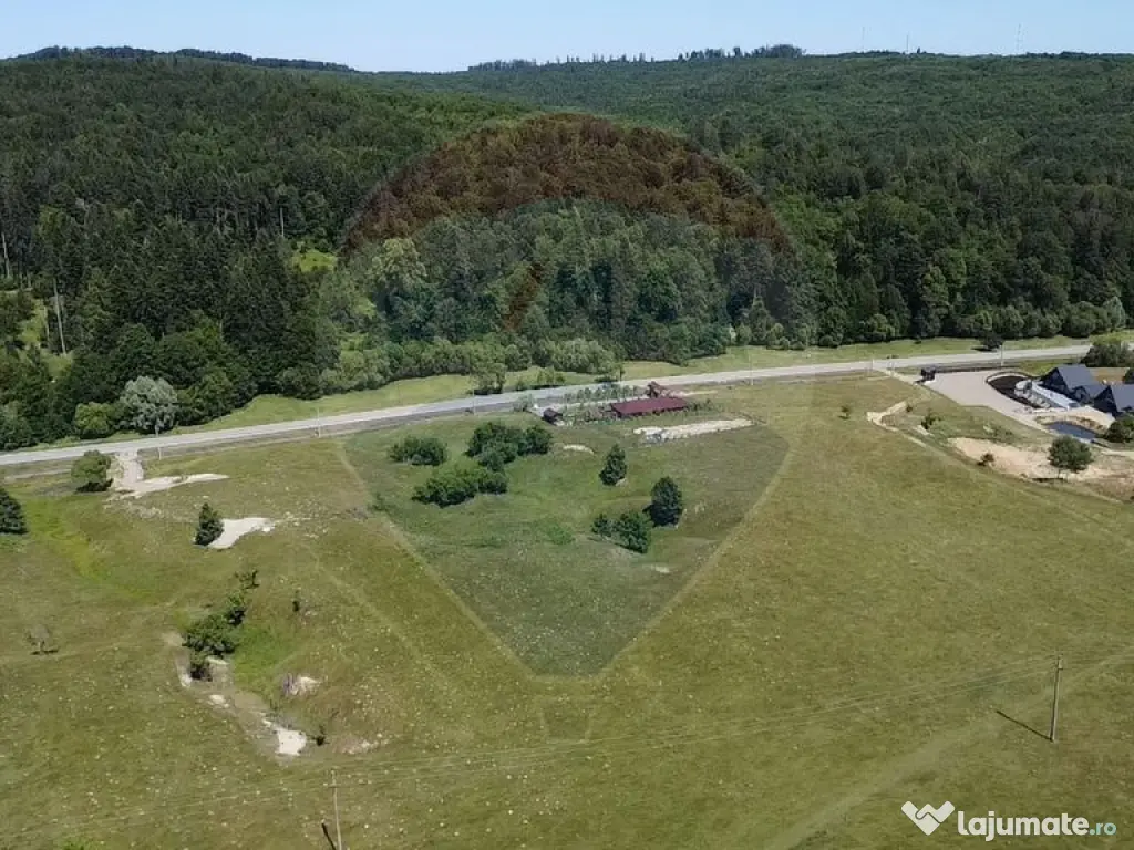 Teren 5,561mp Paltinoasa / Strada principala 
