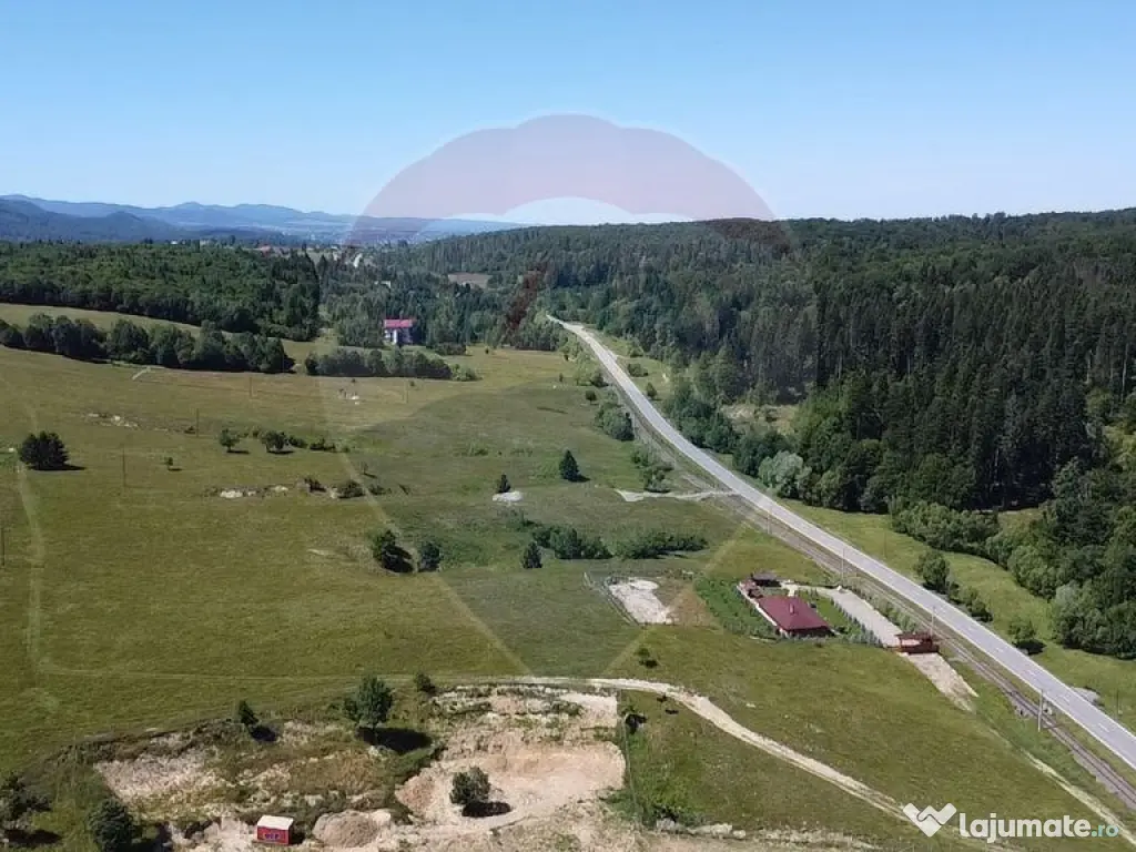 Teren 5,561mp Paltinoasa / Strada principala 