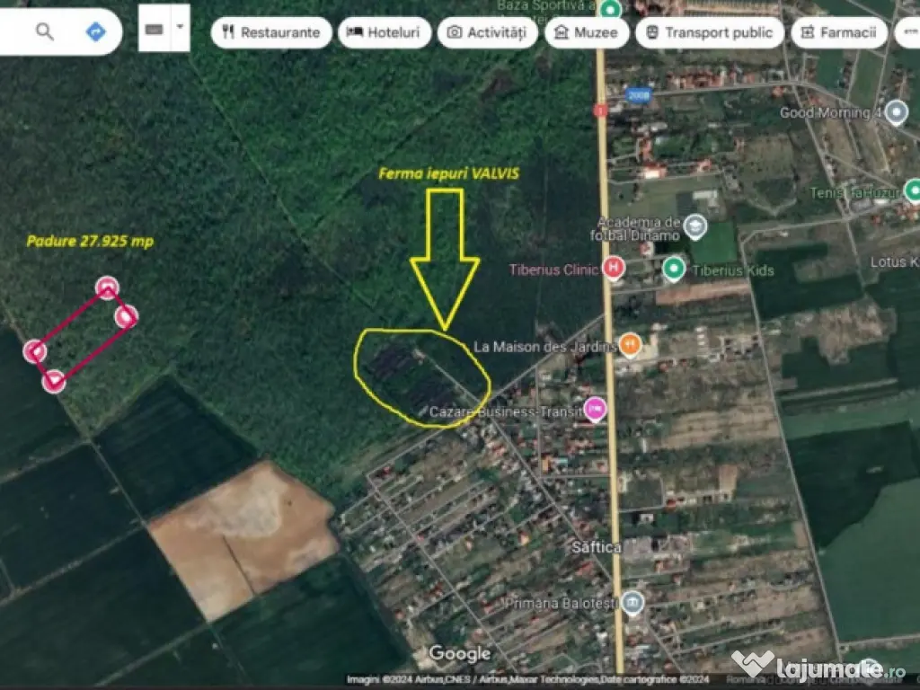 Oportunitate rară: Teren 28.000mp în Săftica-Balotești 