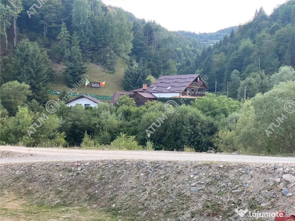 Pensiune cu 7 unitati de cazare in Apuseni judetul Alba 