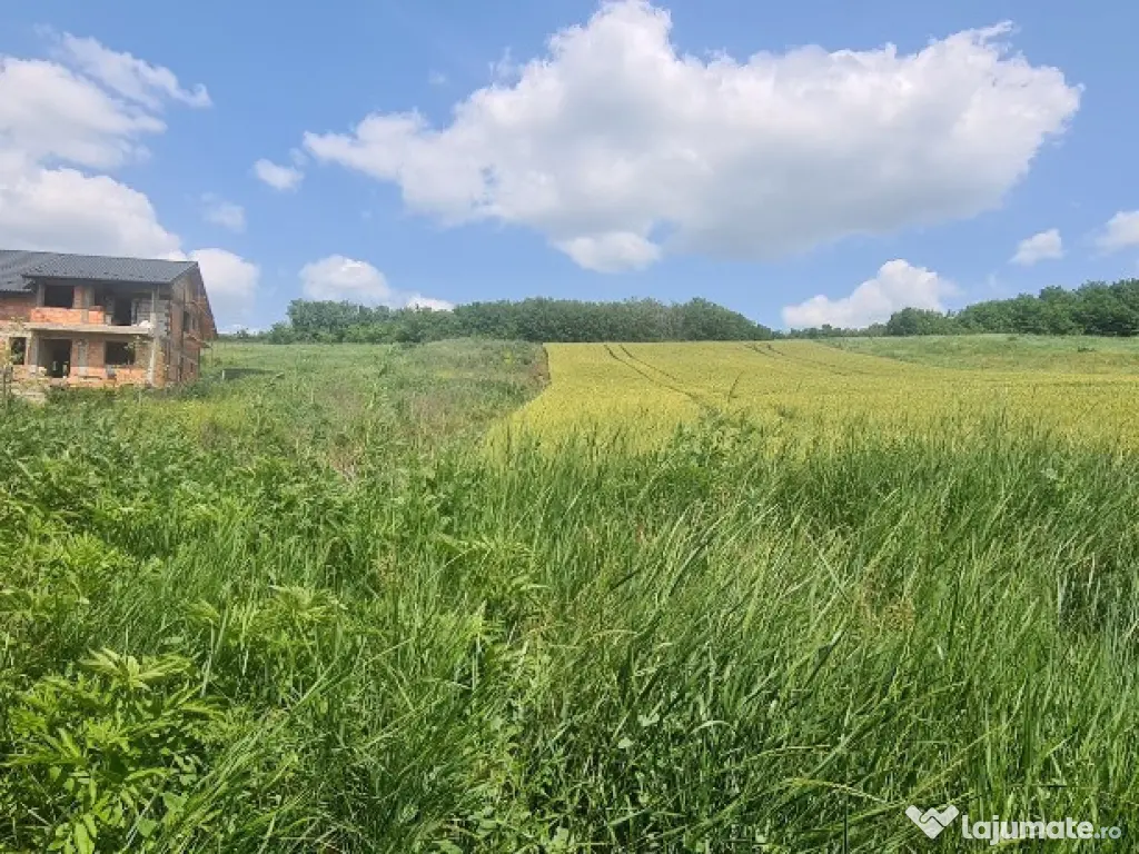 OFERTA* Cladire multifunctionala 200mp cu 2370mp Teren