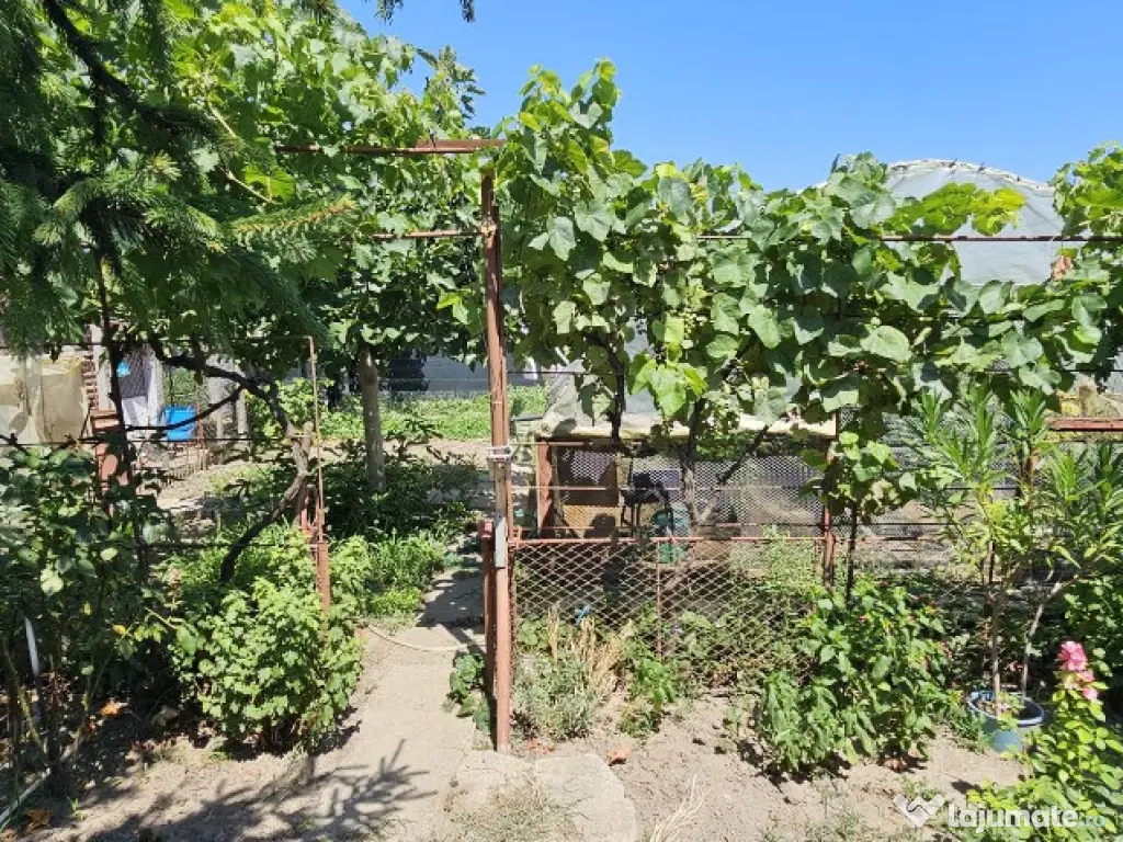 Casa la sol /Ovidiu / garaj