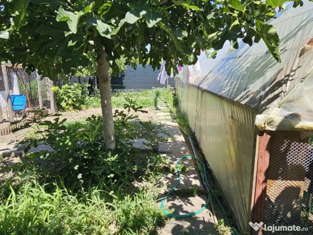 Casa la sol /Ovidiu / garaj