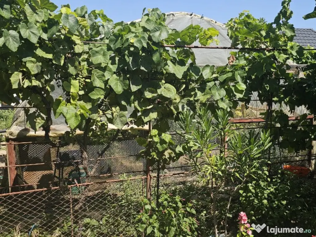 Casa la sol /Ovidiu / garaj