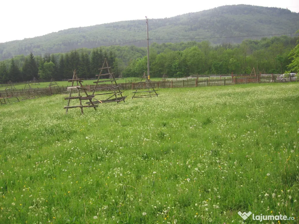 Teren intravilan situat in Traisteni 