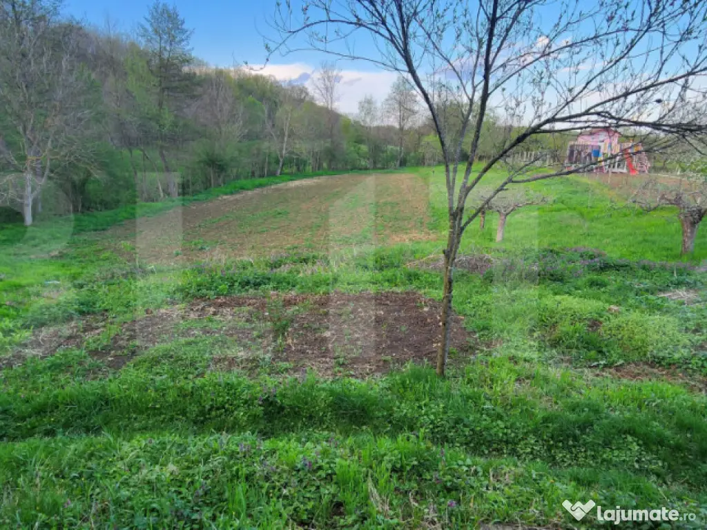 Teren 6650 mp, cu casa nefinalizata de 111 mp, in Nisipoasa