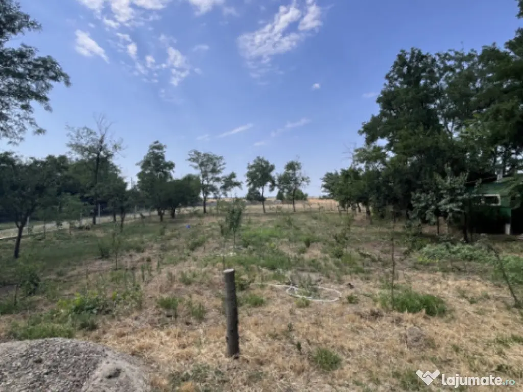 Casa de vacanta - Munteni Buzau - Jutetul Ialomita - Curte 2 