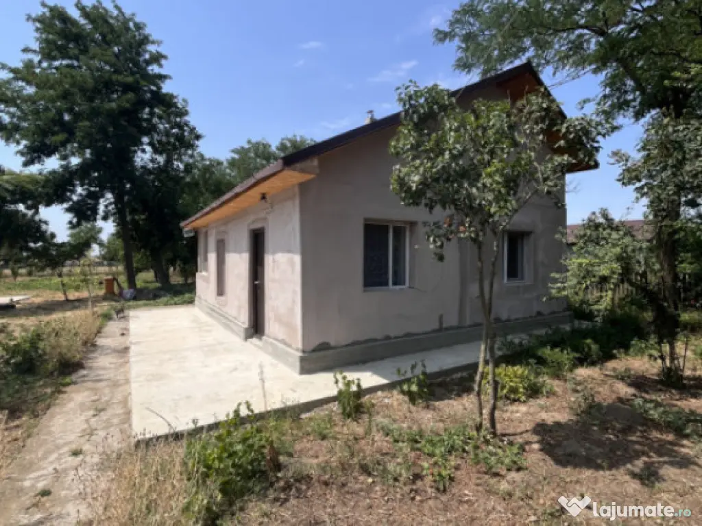 Casa de vacanta - Munteni Buzau - Jutetul Ialomita - Curte 2 