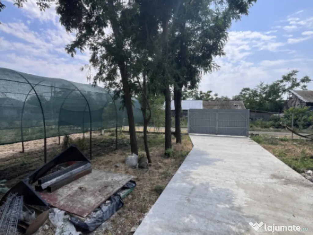 Casa de vacanta - Munteni Buzau - Jutetul Ialomita - Curte 2 