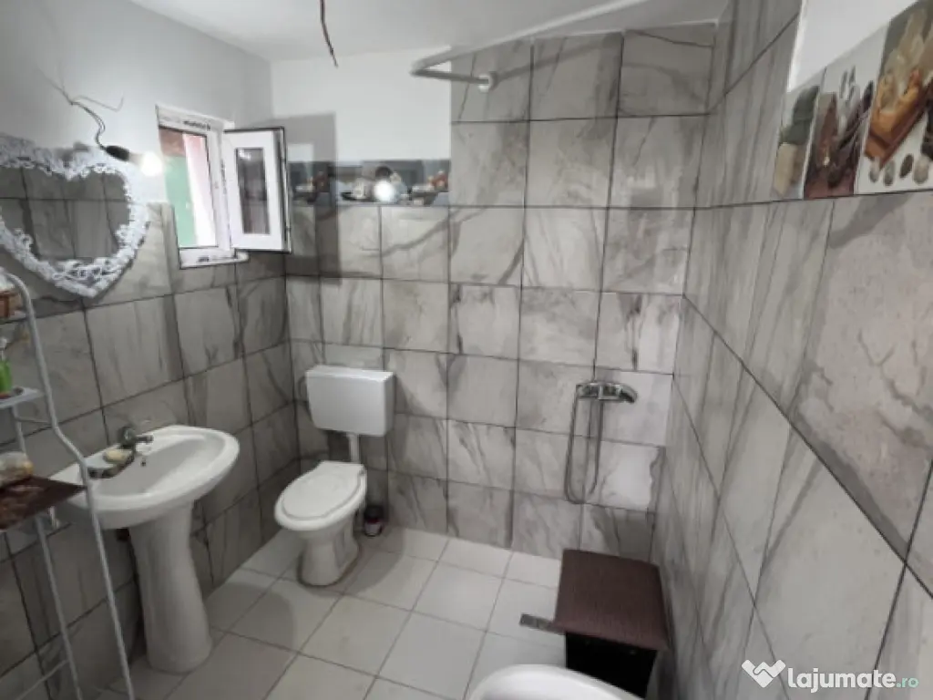 Casa de vacanta - Munteni Buzau - Jutetul Ialomita - Curte 2 