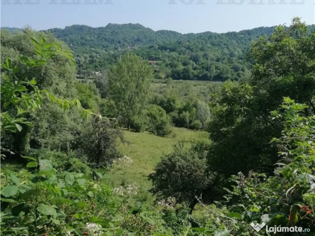 Teren 11230 m.p. Conac - necesita renovare