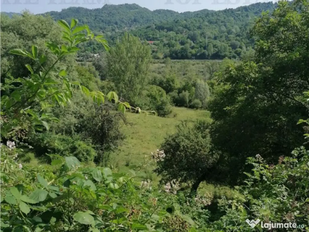 Teren 11230 m.p. Conac - necesita renovare