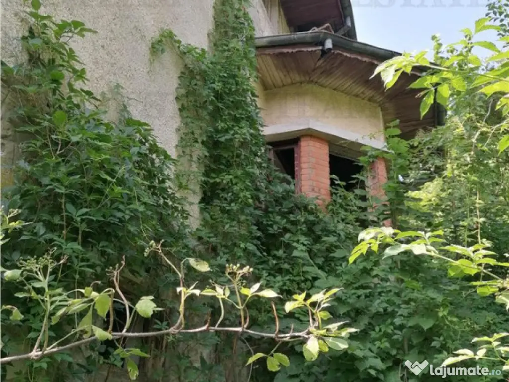 Teren 11230 m.p. Conac - necesita renovare