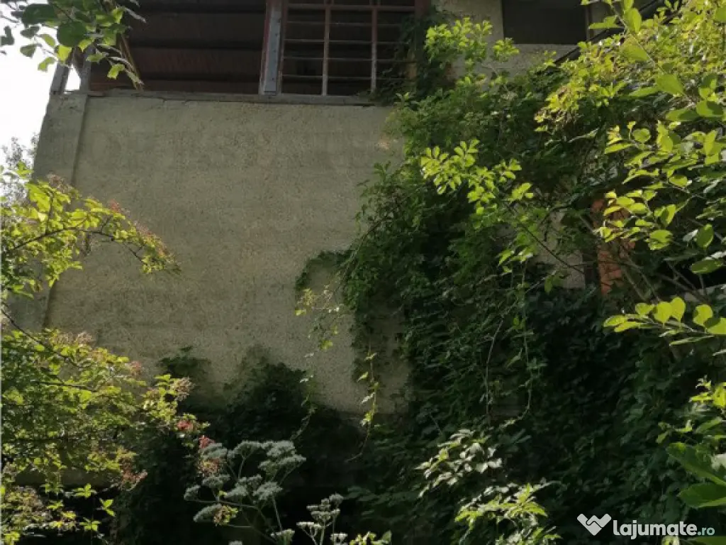 Teren 11230 m.p. Conac - necesita renovare