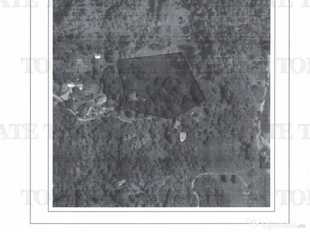 Teren 11230 m.p. Conac - necesita renovare