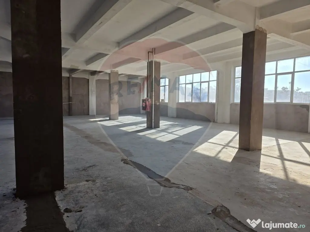 Spații 100/ 200/450 mp lift marfa Baicului platforma ind... 