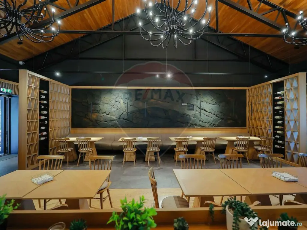 Hotel-Spa-Restaurant nou de Vânzare, 26 Camere, în Padiș, 