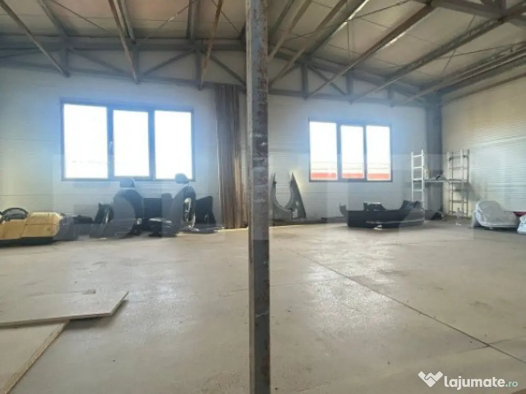 Hala de vanzare 365 mp, Mosnita Noua! 