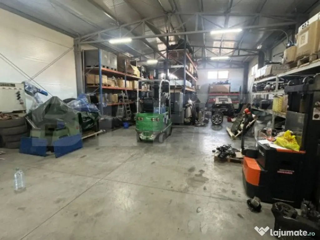 Hala de vanzare 365 mp, Mosnita Noua! 