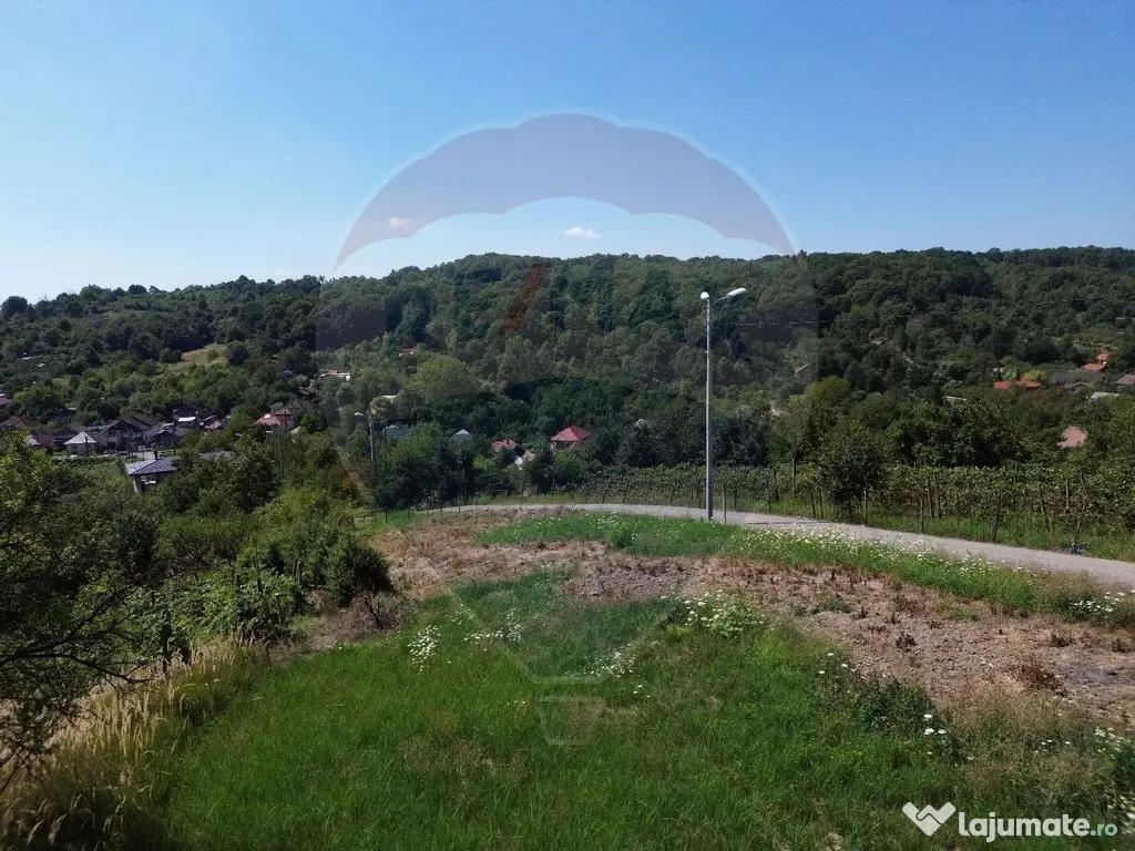 Teren extravilan de vanzare in Baia Mare- Valea Borcutului