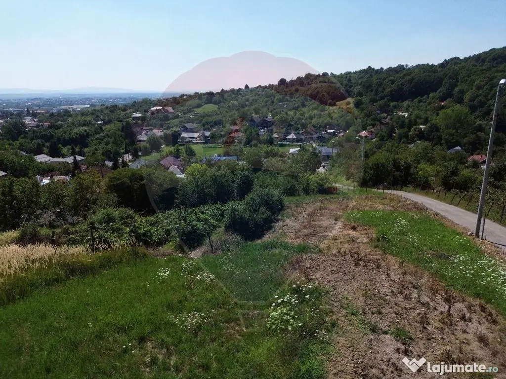 Teren extravilan de vanzare in Baia Mare- Valea Borcutului