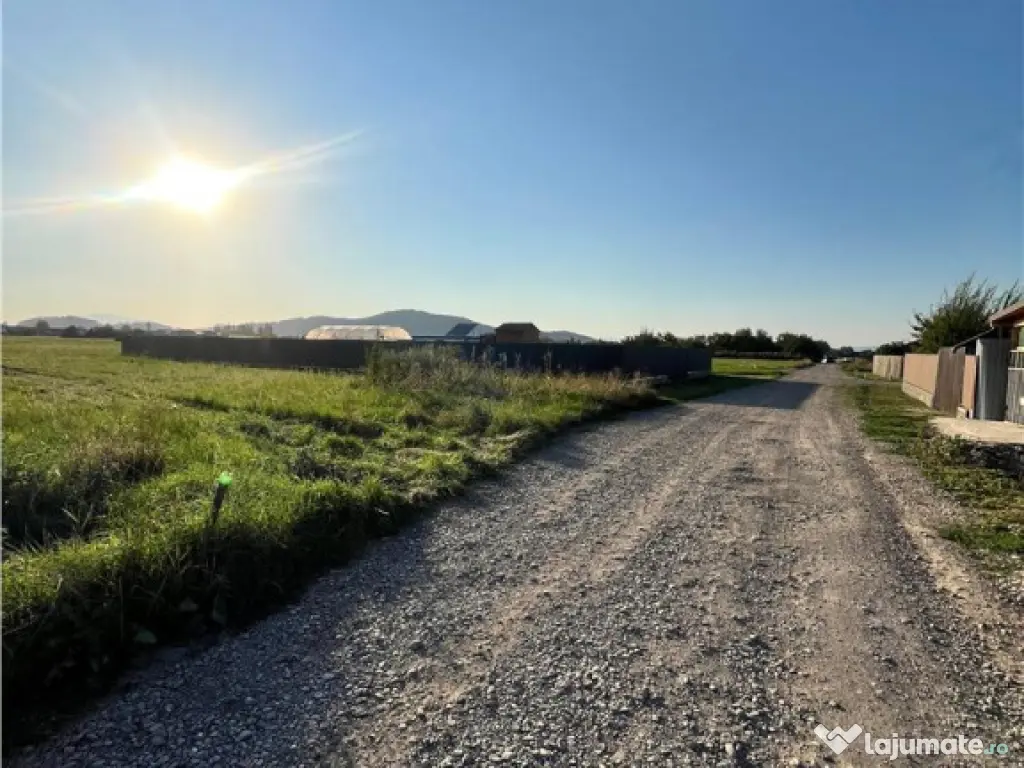 COMISION 0! TEREN INTRAVILAN, 1000MP, HARMAN