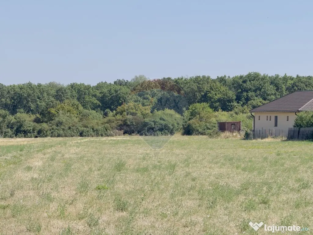 Teren 2,841mp Apateu / Strada Principala langa Biserica O... 