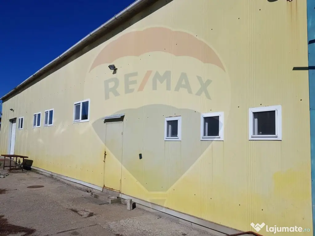 Hală cu acces TIR si teren de închiriat Arad. De la 600... 