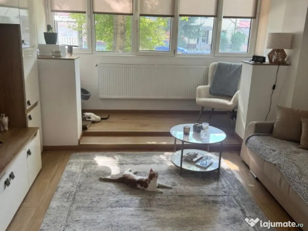 Apartament 2 camere, zona Calea Moldovei 