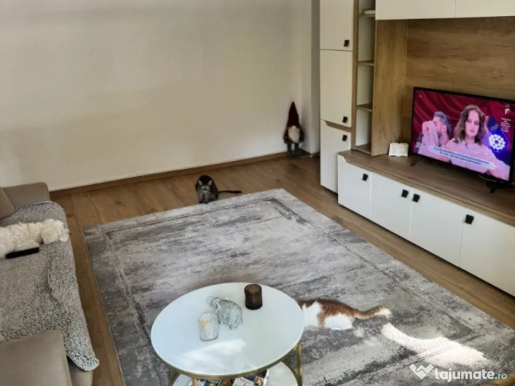 Apartament 2 camere, zona Calea Moldovei 