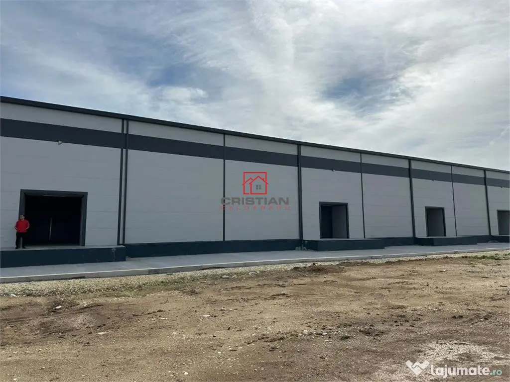 Depozit/hala/spatiu industrial Theodor Pallady - Drumul Int