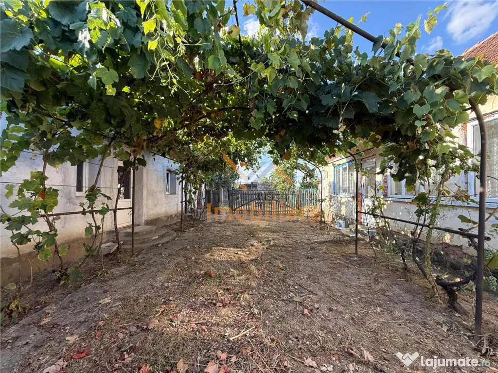 CASA CU TEREN 1500 MP | CHERESIG