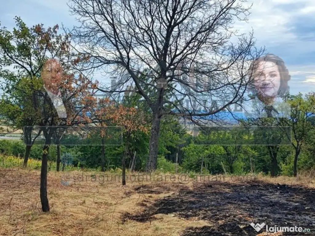Teren generos 2186 mp cu casă bătrânească – Copăce... 