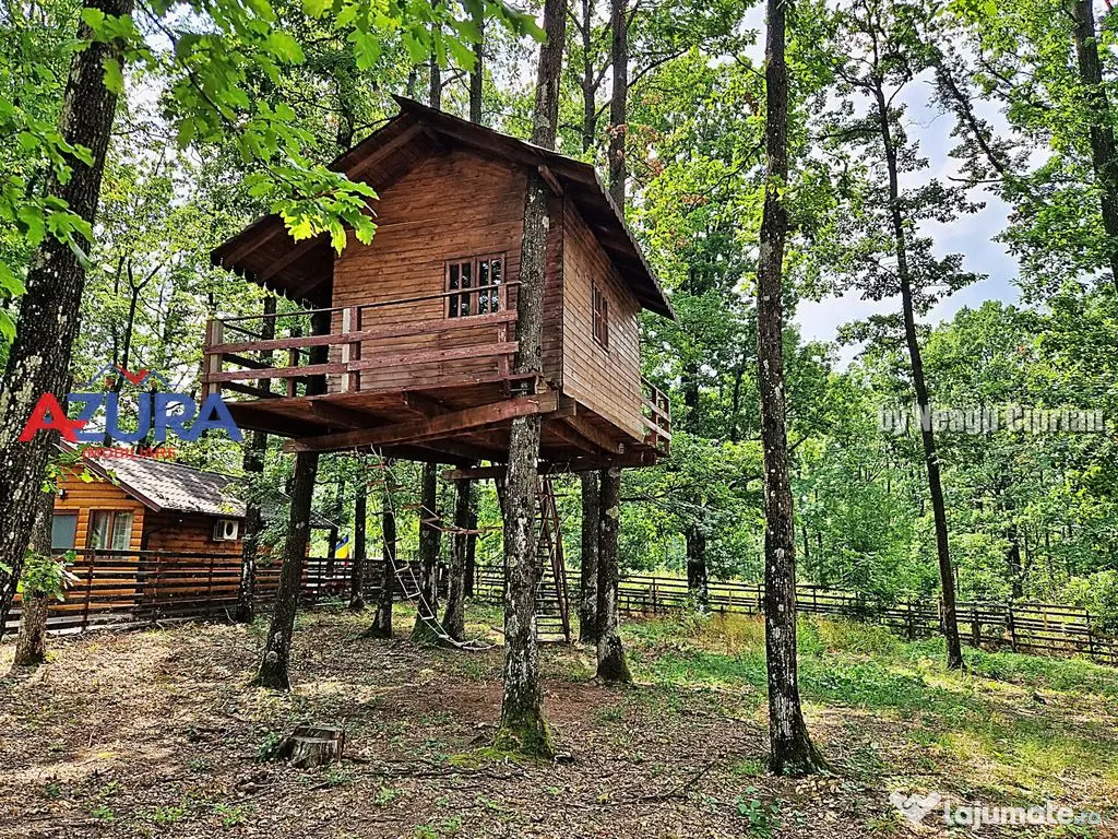 Casă de vacanță în pădure, 10 km de Pitești - Babana 