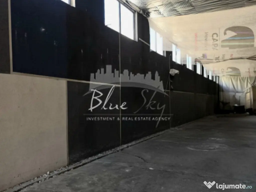Hala 1094 mp in Zona Industiala 
