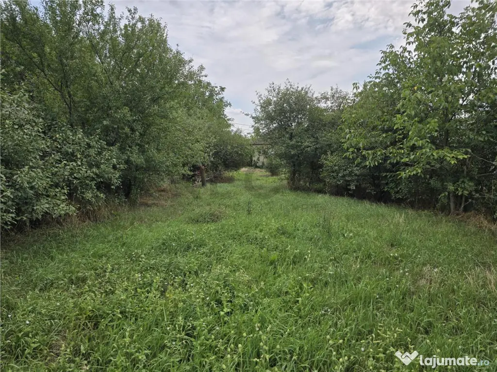 RECO IMOBILIARE CASA BATRANEASCA TINCA 
