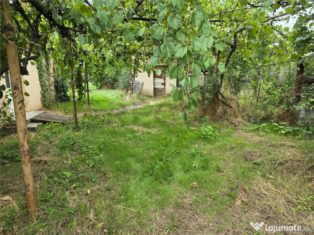 RECO IMOBILIARE CASA BATRANEASCA TINCA 