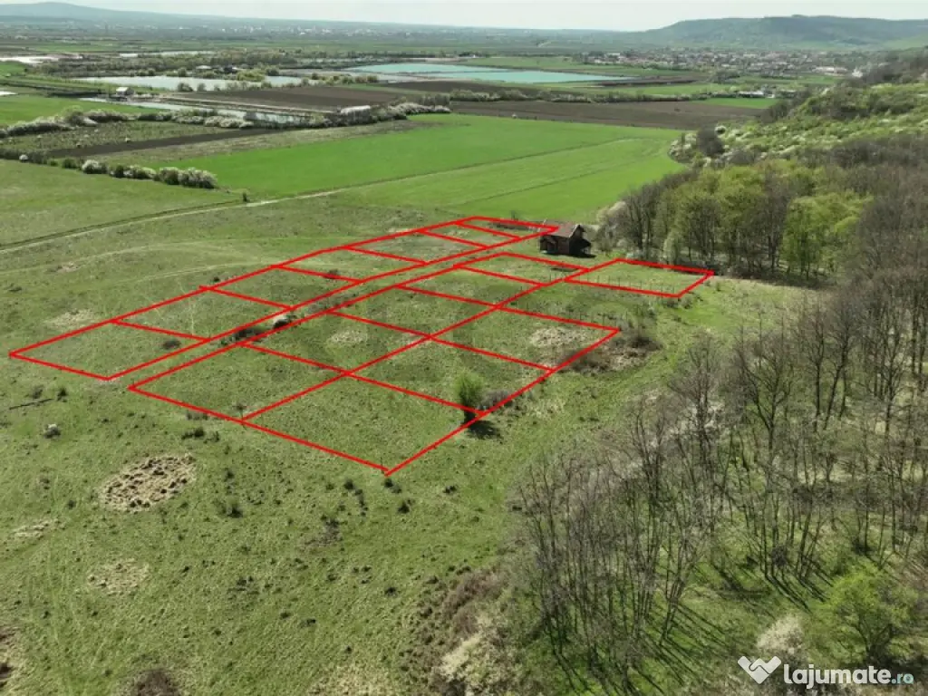 RECO , teren intravilan, Ineu,Bihor